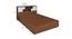 Leucas Storage Bed (King Bed Size, Brown Finish) by Urban Ladder - Design 1 Dimension - 374834