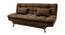 Marine Sofa Cum Bed (Brown, Brown Finish) by Urban Ladder - Front View Design 1 - 374967