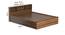 Melos Storage Bed (Queen Bed Size, Brown Finish) by Urban Ladder - Design 1 Dimension - 375000