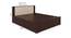 Thera Storage Bed (Queen Bed Size, Brown Finish) by Urban Ladder - Design 1 Dimension - 375148