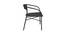 Caleb Chair (Black, Matte Finish) by Urban Ladder - Rear View Design 1 - 375409