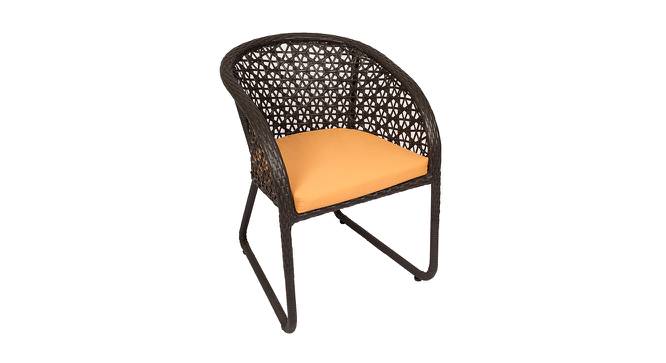 Paris Chair (Brown, Matte Finish) by Urban Ladder - Front View Design 1 - 375476