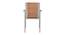 Mars Chair (Beige, Matte Finish) by Urban Ladder - Design 1 Side View - 375501