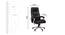Brentan Office Chair (Black) by Urban Ladder - Design 1 Dimension - 375741