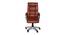 Farin Office Chair (Tan) by Urban Ladder - Front View Design 1 - 375881