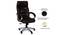 Danise Office Chair (Chocolate Brown) by Urban Ladder - Rear View Design 1 - 375899