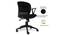 Gared Office Chair (Black) by Urban Ladder - Rear View Design 1 - 375901
