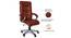 Farin Office Chair (Tan) by Urban Ladder - Rear View Design 1 - 375902