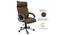 Dannee Office Chair (Brown) by Urban Ladder - Rear View Design 1 - 375917
