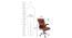 Denica Office Chair (Brown) by Urban Ladder - Design 1 Dimension - 375948