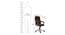 Garner Office Chair (Dark Brown) by Urban Ladder - Design 1 Dimension - 375962