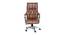 Morley Office Chair (Brown) by Urban Ladder - Front View Design 1 - 376007
