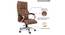 Morley Office Chair (Brown) by Urban Ladder - Rear View Design 1 - 376023