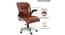 Merrilee Office Chair (Brown) by Urban Ladder - Rear View Design 1 - 376024