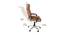Loron Office Chair (Chocolate Brown) by Urban Ladder - Rear View Design 1 - 376036