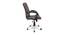 Stevyn Office Chair (Brown) by Urban Ladder - Rear View Design 1 - 376130