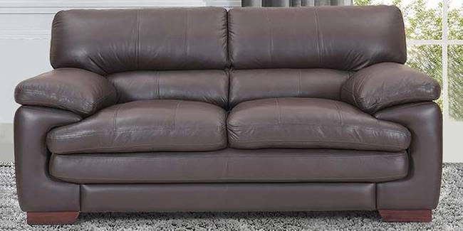 Hamburg Leatherette sofa - Brown (Brown, 2-seater Custom Set - Sofas, None Standard Set - Sofas, Leatherette Sofa Material, Regular Sofa Size, Regular Sofa Type)