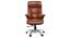 Orra Office Chair (Brown) by Urban Ladder - Design 1 Close View - 377144