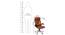 Orra Office Chair (Brown) by Urban Ladder - Design 1 Dimension - 377146