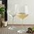Angela wine glass set of 6 transparent lp