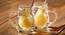 Birnen Cocktail Glass Set of 3 (transparent) by Urban Ladder - Front View Design 1 - 377332