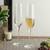 Rebecca champagne glass set of 6 transparent lp
