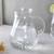 Salzburg beer glass set of 2 transparent lp