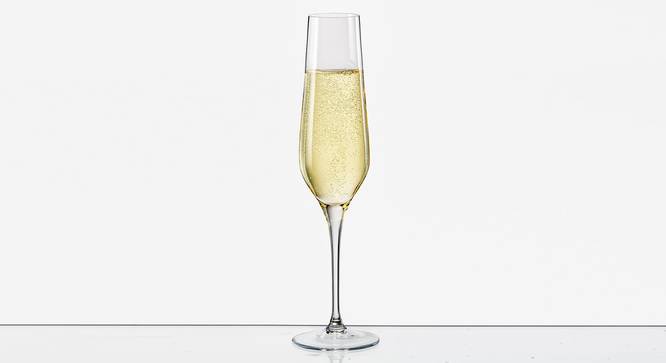 Rebecca Champagne Glass Set of 6 (transparent) by Urban Ladder - Front View Design 1 - 377830