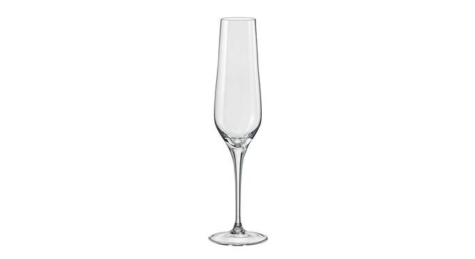 Rebecca Champagne Glass Set of 6 (transparent) by Urban Ladder - Cross View Design 1 - 377840