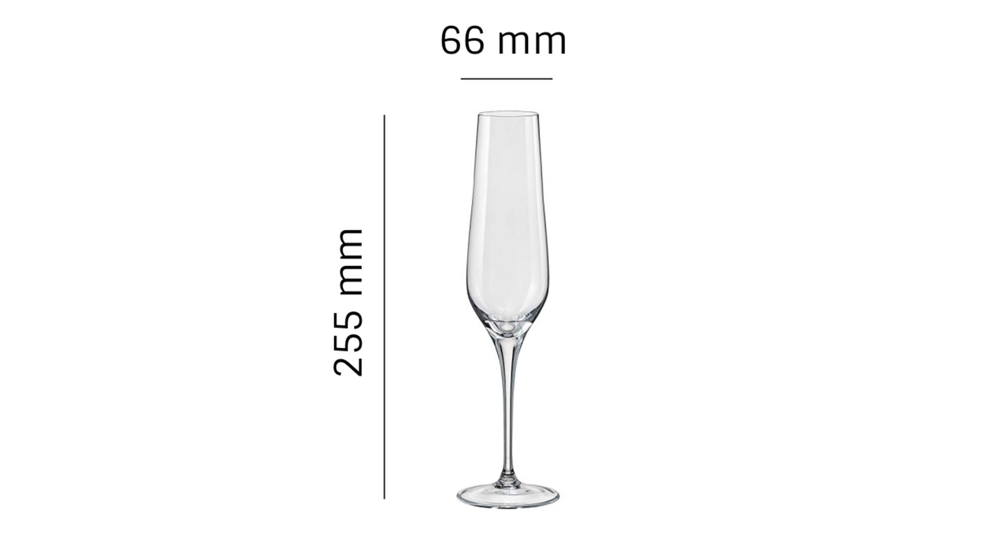 Rebecca champagne glass set of 6 transparent 6