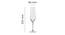 Rebecca Champagne Glass Set of 6 (transparent) by Urban Ladder - Design 1 Dimension - 377871