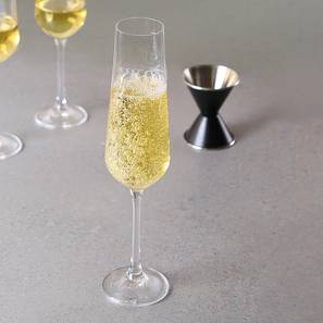 Sandra champagne glass set of 6 transparent lp