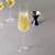 Sandra champagne glass set of 6 transparent lp