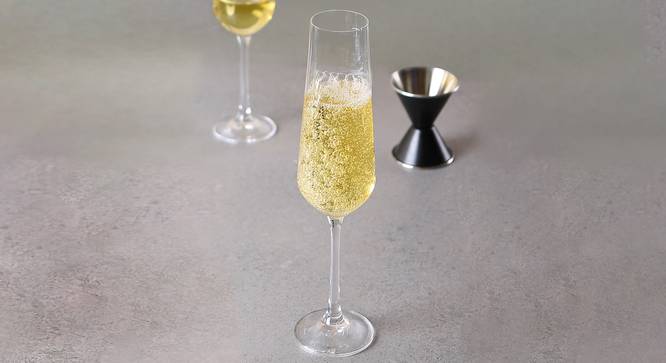 Sandra Champagne Glass Set of 6 (transparent) by Urban Ladder - Front View Design 1 - 377886