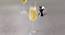 Sandra Champagne Glass Set of 6 (transparent) by Urban Ladder - Front View Design 1 - 377886