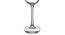 Sandra Champagne Glass Set of 6 (transparent) by Urban Ladder - Front View Design 1 - 377913
