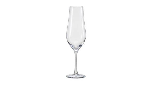 Tulipia Champagne Glass Set of 6 (transparent) by Urban Ladder - Cross View Design 1 - 377989