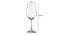 Tulipia Wine Glass Set of 6 (transparent) by Urban Ladder - Design 1 Dimension - 378013
