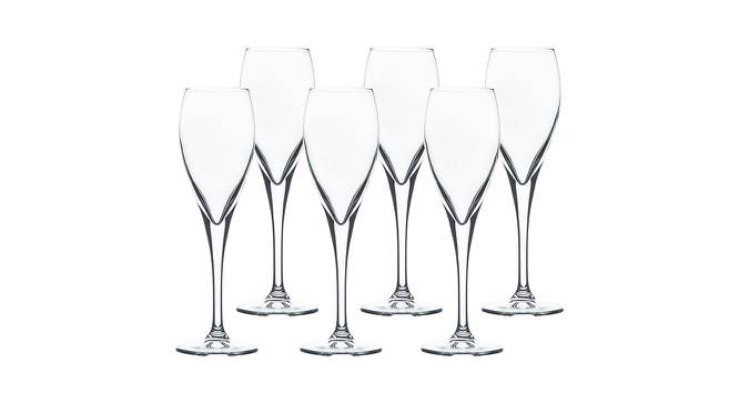 Easton Champagne Glasses Set of 6 (Transperant) by Urban Ladder - Front View Design 1 - 378190