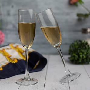 Lulu Champagne Glasses Set Of 6 Design Lulu Champagne Glass Set of 6 (transparent)