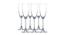 Lulu Champagne Glasses Set of 6 (Transperant) by Urban Ladder - Front View Design 1 - 378342