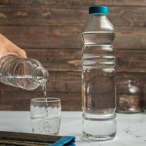 Glass Bottles Design Max Bottle Set of 2 (transparent)