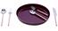 August Cutlery Set (Maroon, Copper & Silver) by Urban Ladder - Cross View Design 1 - 378752