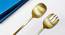 Milo Spoon & Fork - Set of 2 (Gold) by Urban Ladder - Cross View Design 1 - 379602