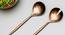 Oscar Spoon & Fork - Set of 2 (Copper) by Urban Ladder - Front View Design 1 - 379770