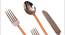 Salinger Cutlery Set (Silver & Copper) by Urban Ladder - Design 1 Close View - 379987