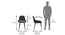 Rickman Lounge Chair (Matty Grey) by Urban Ladder - Dimension Design 1 - 380976