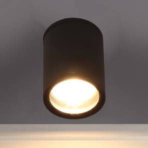 Ceiling Spotlights Design Huntly Outdoor Light (White, Aluminium Shade Material, Aluminium Shade Color)