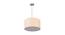 John Hanging Lamp (Beige, Aluminium Shade Material, Aluminium Shade Color) by Urban Ladder - Cross View Design 1 - 381159