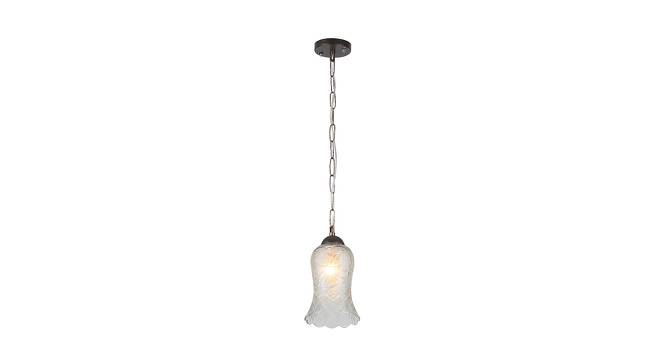 Quinn Hanging Lamp (transparent, Aluminium Shade Material, Aluminium Shade Color) by Urban Ladder - Front View Design 1 - 381238